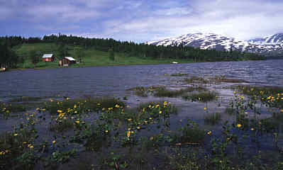 {Sommer in Norwegen}