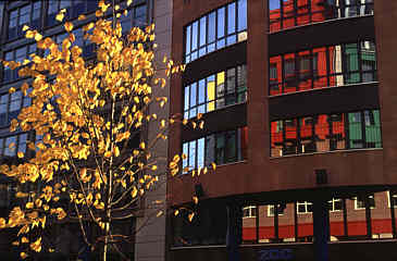 {Herbst in Berlin}